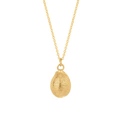Gold Cowrie Shell Necklace