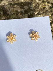 Tiny daffodil stud earrings in solid gold