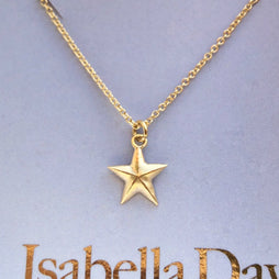Tiny dainty solid gold star necklace - who is your star?